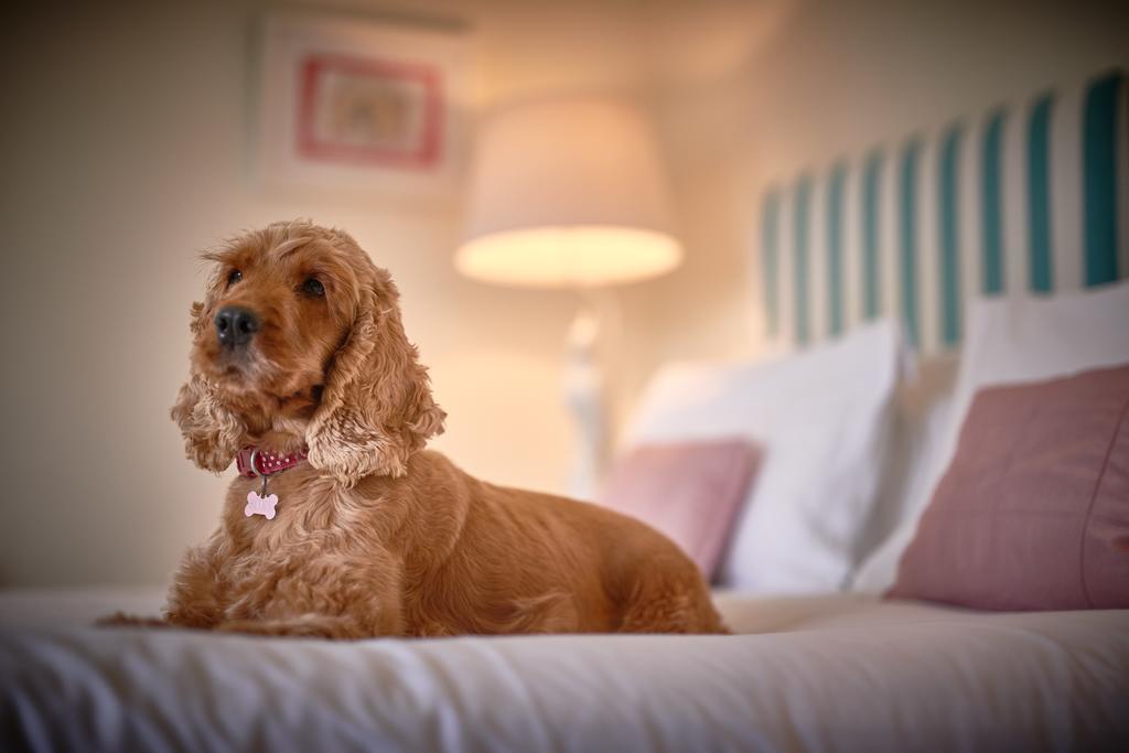 Talland Bay Hotel, Looe Екстериор снимка